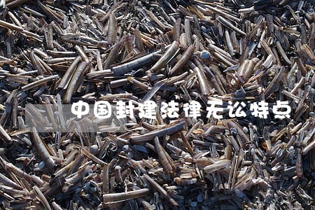 中国封建法律无讼特点 中国封建法律无讼特点