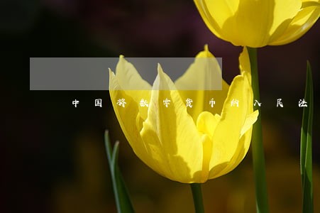 中国将数字货币纳入民法解读