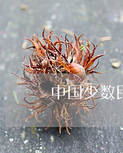 中国少数民族法律文化价值探析