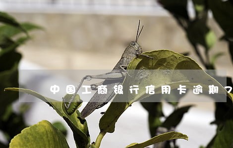 中国工商银行信用卡逾期7天 中国工商银行信用卡逾期7天