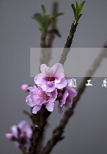 中国工商银行信用卡逾期8个月 中国工商银行信用卡逾期8个月
