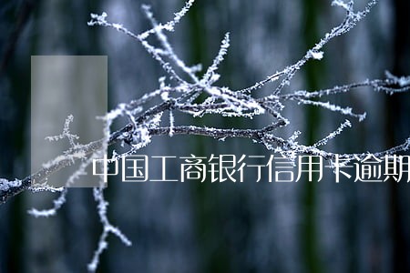 中国工商银行信用卡逾期期限 中国工商银行信用卡逾期期限