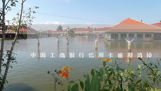 中国工商银行信用卡逾期消掉 中国工商银行信用卡逾期消掉