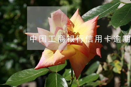 中国工商银行信用卡逾期诉前调查 中国工商银行信用卡逾期诉前调查