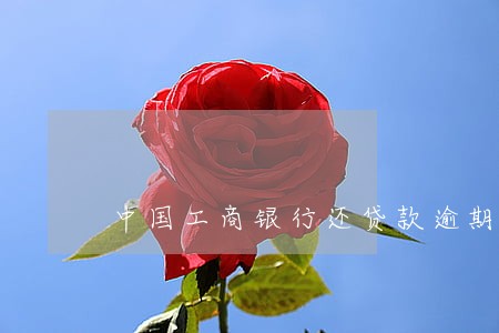 中国工商银行还贷款逾期一天