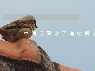 中国巨婴毁了道德后毁法律