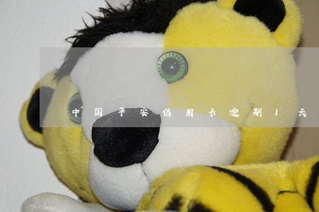 中国平安信用卡逾期1天 中国平安信用卡逾期1天