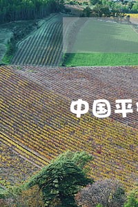 中国平安信用卡逾期会上门吗 中国平安信用卡逾期会上门吗