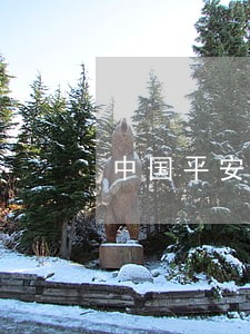 中国平安信用卡逾期多久会上征信
