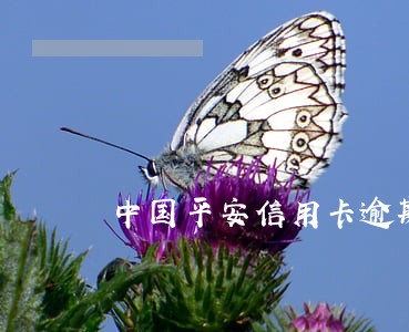 中国平安信用卡逾期被冻结