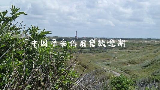 中国平安信用贷款逾期 中国平安信用贷款逾期
