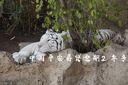 中国平安易贷逾期2年多 中国平安易贷逾期2年多