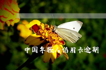 中国年轻人信用卡逾期 中国年轻人信用卡逾期