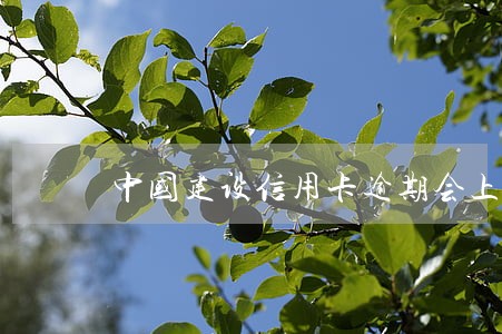 中国建设信用卡逾期会上门吗