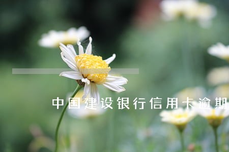 中国建设银行信用卡逾期 中国建设银行信用卡逾期