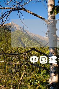中国建设银行信用卡逾期了怎样 中国建设银行信用卡逾期了怎样