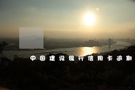 中国建设银行信用卡逾期还款 中国建设银行信用卡逾期还款