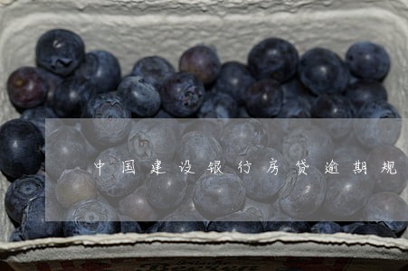 中国建设银行房贷逾期规定 中国建设银行房贷逾期规定