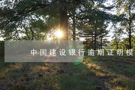 中国建设银行逾期证明模版 中国建设银行逾期证明模版
