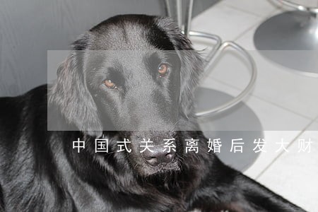 中国式关系离婚后发大财 中国式关系离婚后发大财