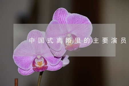 中国式离婚里的主要演员 中国式离婚里的主要演员