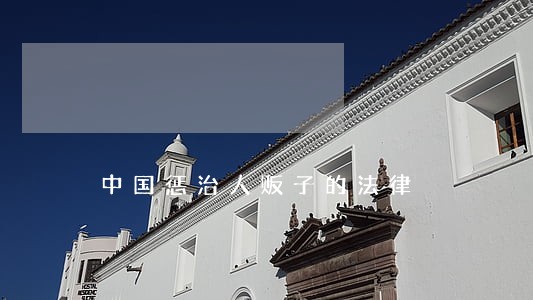 中国惩治人贩子的法律