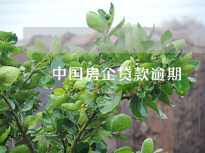 中国房企贷款逾期 中国房企贷款逾期