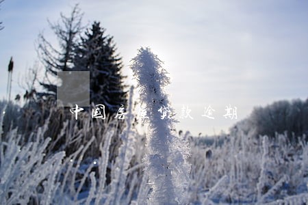 中国房屋贷款逾期 中国房屋贷款逾期