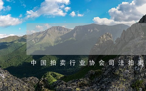 中国拍卖行业协会司法拍卖网 中国拍卖行业协会司法拍卖网
