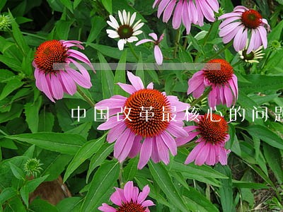 中国改革最核心的问题