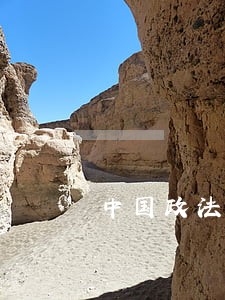 中国政法大学法律硕士报考人数 中国政法大学法律硕士报考人数