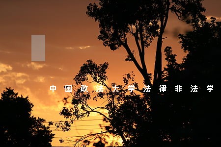 中国政法大学法律非法学导师