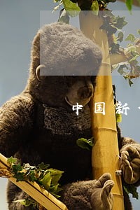 中国新修改的法律