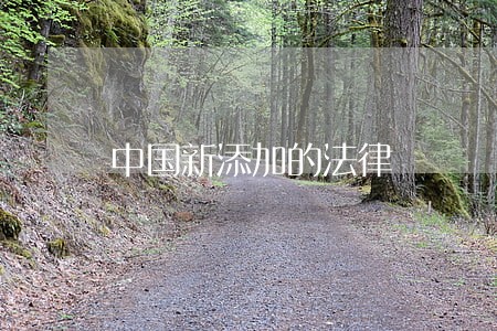 中国新添加的法律 中国新添加的法律