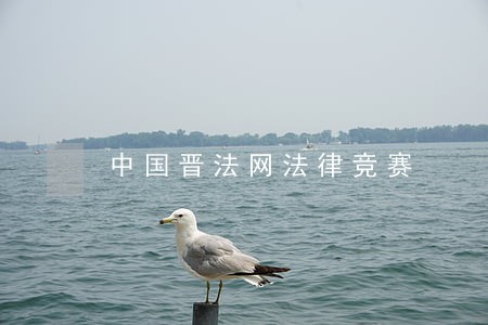 中国晋法网法律竞赛
