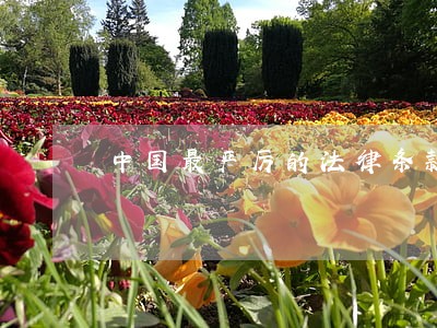 中国最严厉的法律条款