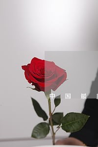中国最新法律书