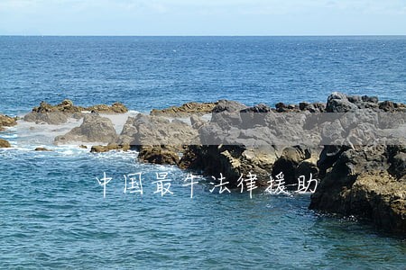 中国最牛法律援助