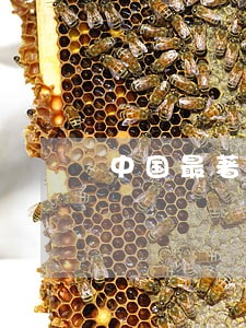 中国最著名的刑事律师 中国最著名的刑事律师