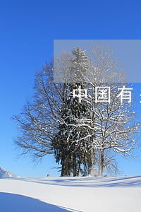 中国有关汉服的法律 中国有关汉服的法律