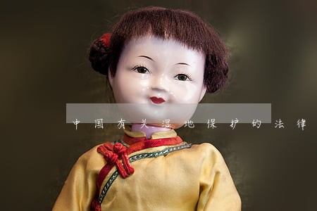 中国有关湿地保护的法律 中国有关湿地保护的法律