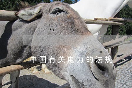 中国有关电力的法规 中国有关电力的法规