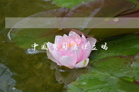 中国有司法独立吗