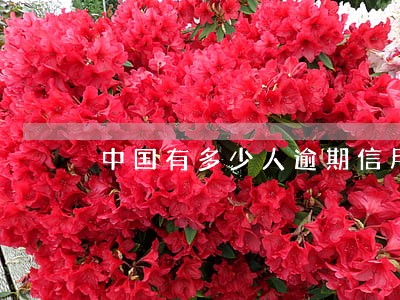 中国有多少人逾期信用卡 中国有多少人逾期信用卡