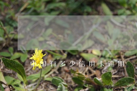 中国有多少信用卡逾期