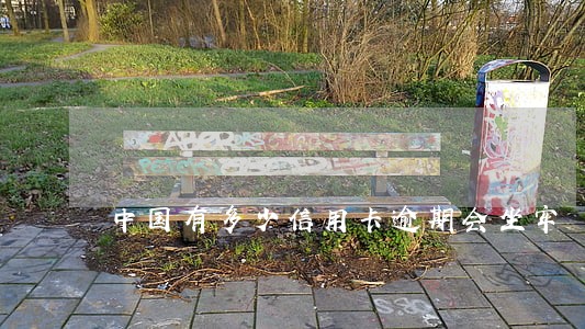 中国有多少信用卡逾期会坐牢 中国有多少信用卡逾期会坐牢