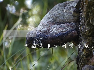 中国有多少网贷逾期用户 中国有多少网贷逾期用户