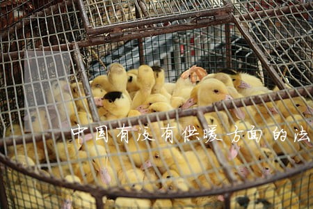 中国有没有供暖方面的法律