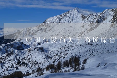 中国有没有关于商场噪音的法律 中国有没有关于商场噪音的法律