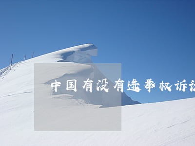 中国有没有选举权诉讼